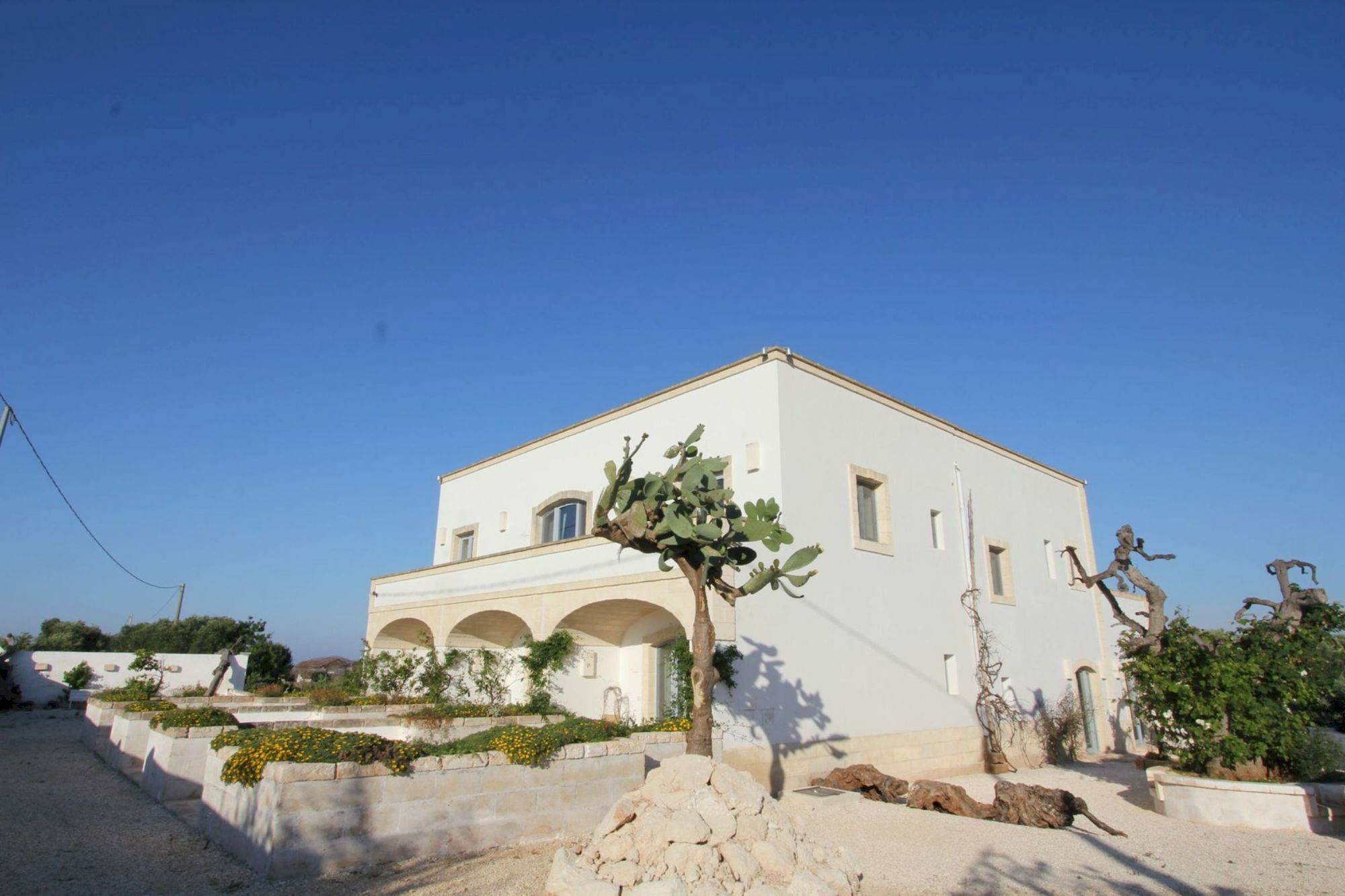 Masseria Lama Di Coccaro 萨维勒特里 外观 照片