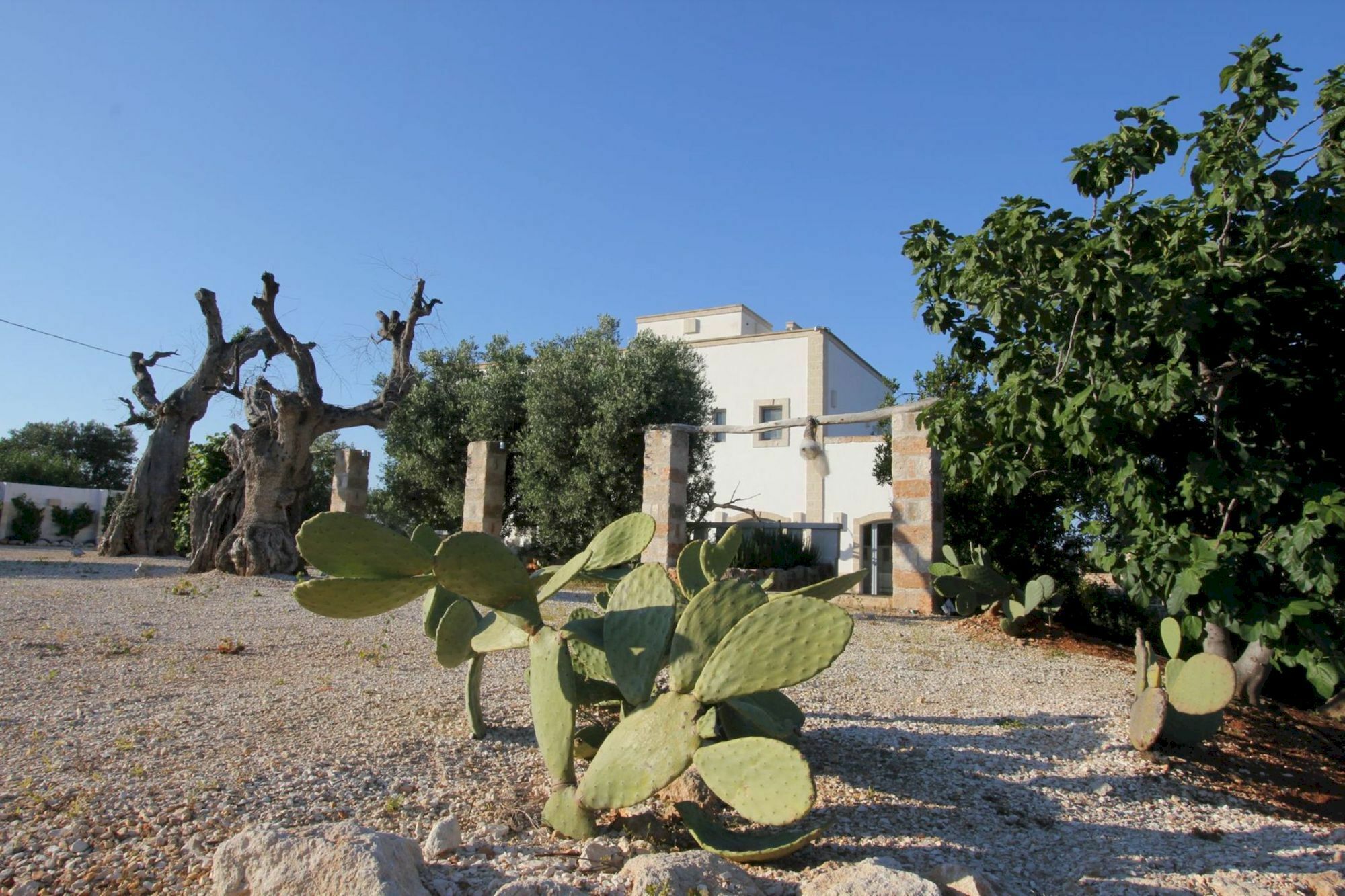 Masseria Lama Di Coccaro 萨维勒特里 外观 照片