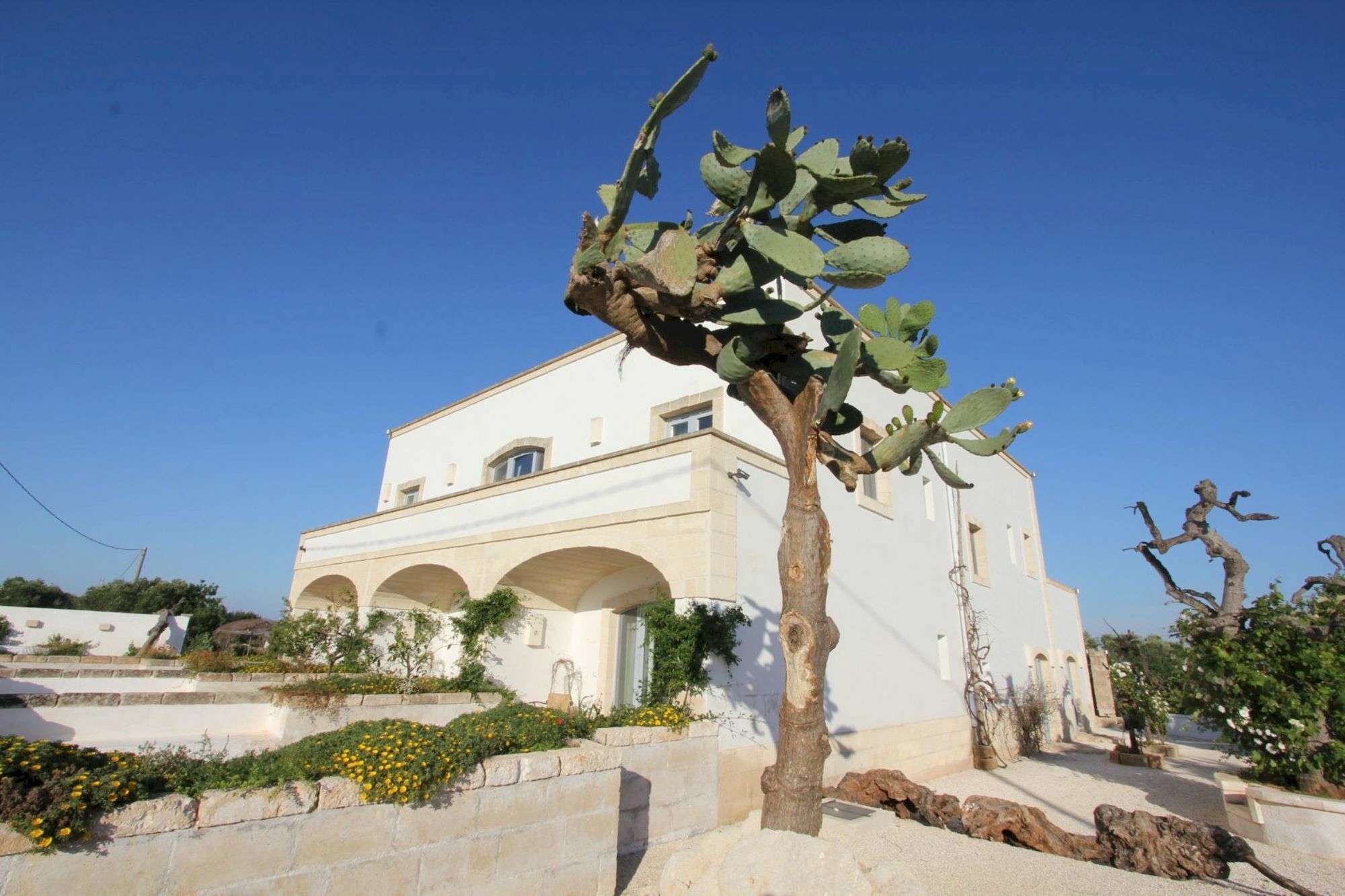 Masseria Lama Di Coccaro 萨维勒特里 外观 照片
